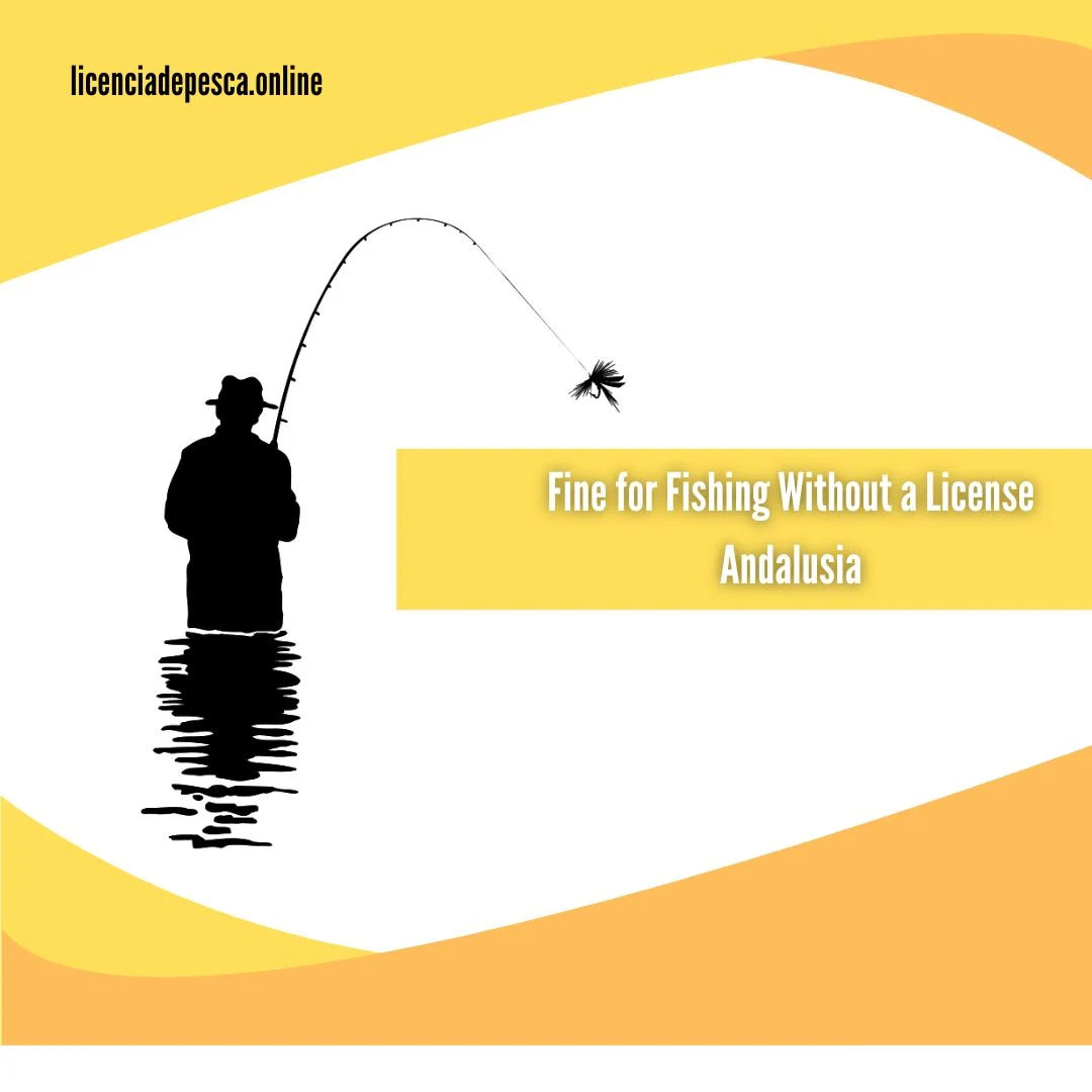 Fines for Fishing Without a License